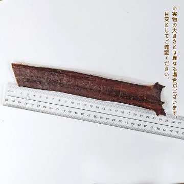わんもぐ　馬ネクタイの画像