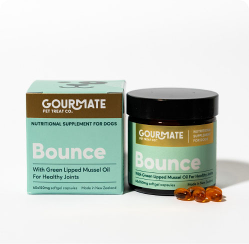 GOURMATE　Bounce/バウンス 関節・脳機能サポートｿﾌﾄｶﾌﾟｾﾙの画像