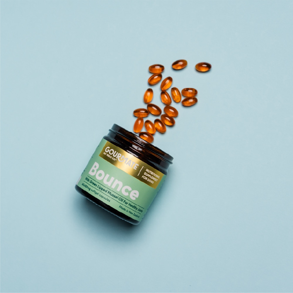 GOURMATE　Bounce/バウンス 関節・脳機能サポートｿﾌﾄｶﾌﾟｾﾙの画像