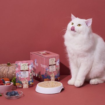 RONRON　チキン＆サーモン　レシピの画像