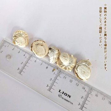 わんもぐ　特殊フリーズドライベビーほたての画像