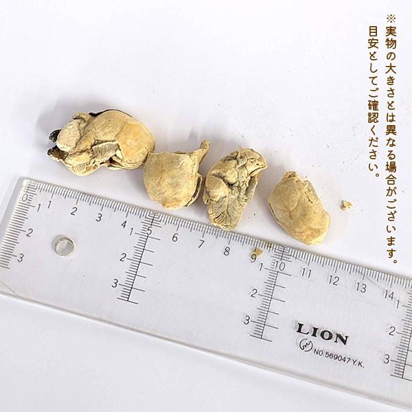 わんもぐ　特殊フリーズドライ牡蠣の画像