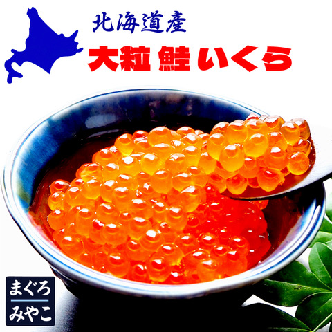 Dymocks大粒鮭いくら醤油漬け シーフード :: 北海道産！大粒鮭いくら醤油漬け 500g【送料別】