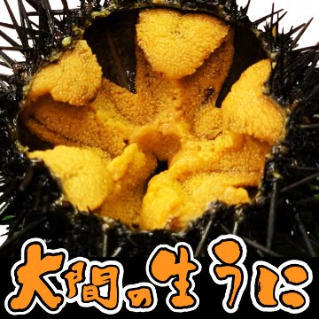 青森大間産　本物生ウニ 【100%完全無添加】の画像