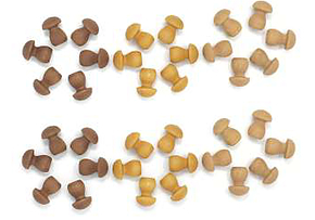 グラパット　まんだら　きのこ　grapat　Mandala Mushroomの画像