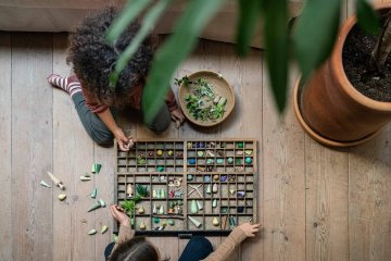 【2026 new!】 GRAPAT　フォレストツリー　Forest Treeの画像