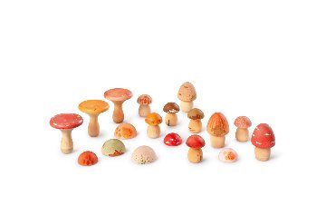 【2026 new!】 GRAPAT　マッシュル－ムグローブ　Mushroom Groveの画像