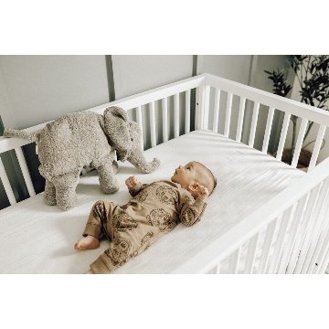 SENGER社　カドリーアニマル エレファント (L) 　Cuddly Animal Elephant /largeの画像