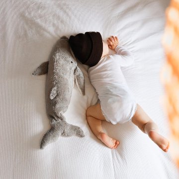 SENGER社　カドリーアニマル ホエール（L）Cuddly animal Whale, large の画像