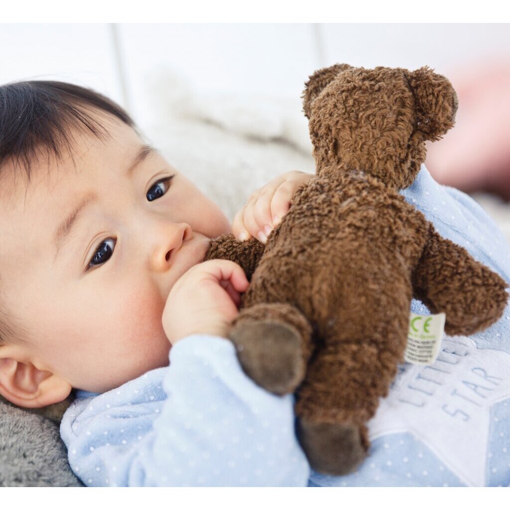 SENGER社　アニマルベビー ベア / ブラウン　Animal Baby Bear | brownの画像