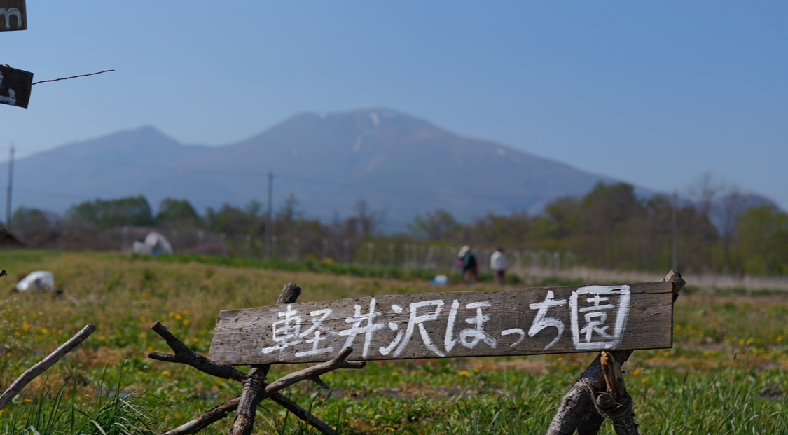 ハーブのドクターボー菜園 ~無農薬・無化学肥料の路地栽培園～