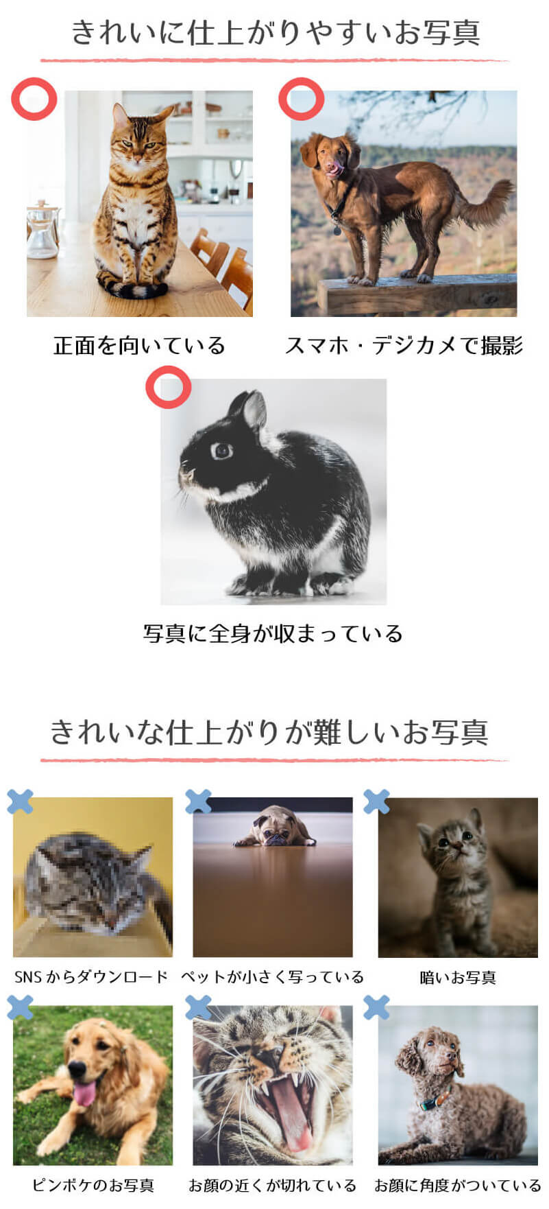 ふちどりクッションの制作に向いている写真と向いていない写真の例