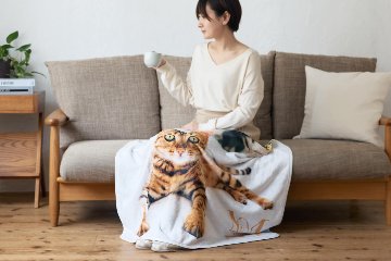 両面プリントブランケット 100×70cmの画像