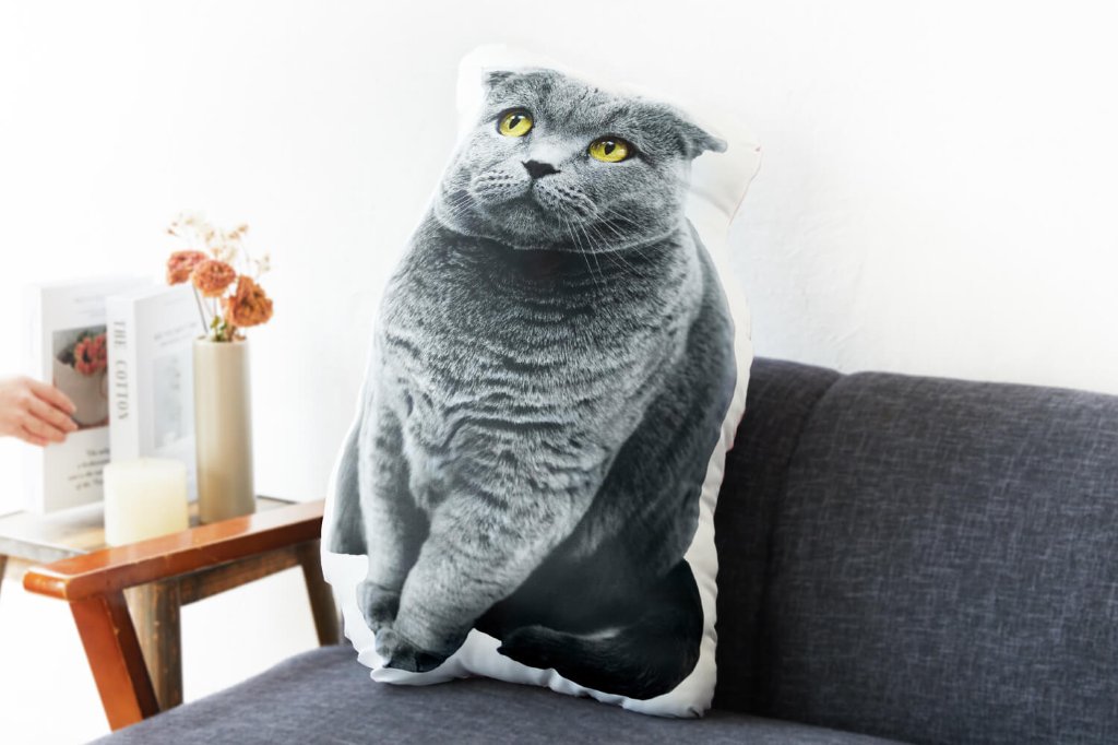 ふちどりクッション 70cmの画像