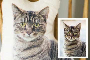 毛並みクッション 50cmの画像