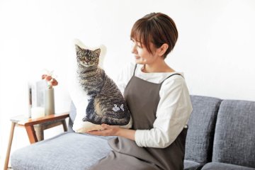 毛並みクッション 50cmの画像