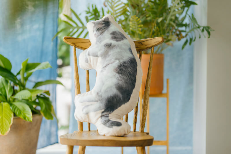 毛並みクッション 70cmの画像