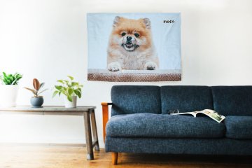 ボアブランケット 100×70cmの画像