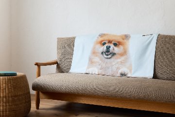 ボアブランケット 100×70cmの画像
