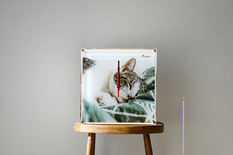 ペットの写真で作るうちの子オリジナル箱型時計フォトボックス画像