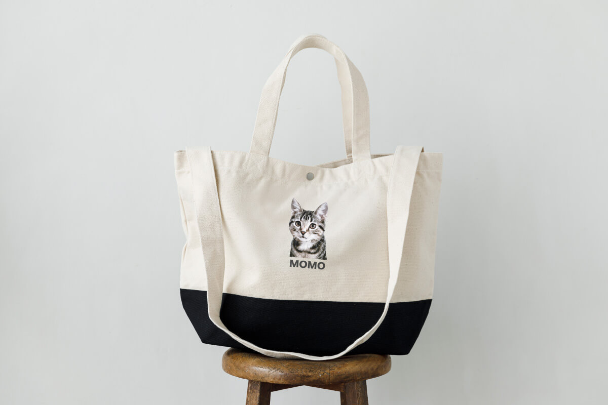 2wayビッグバッグの画像