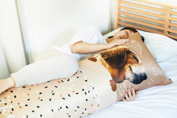 ペットちゃんのお写真で作る　うちの子定番抱き枕120×45cm（パジャマ）画像