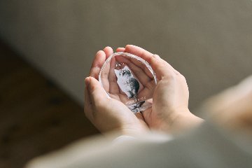 お位牌 格式セット ティアドロップデザインの画像