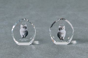 お位牌 格式セット ティアドロップデザインの画像