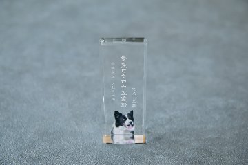 お位牌  モダンセット トラディショナルデザインの画像