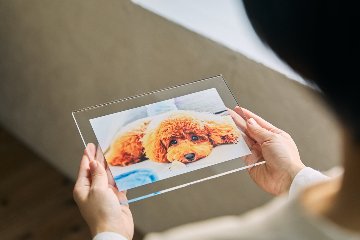 クリアフォトパネル A5サイズの画像