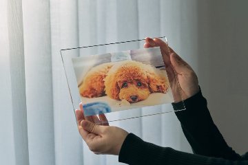 クリアフォトパネル A5サイズの画像