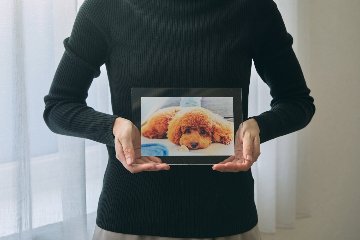 クリアフォトパネル A5サイズの画像
