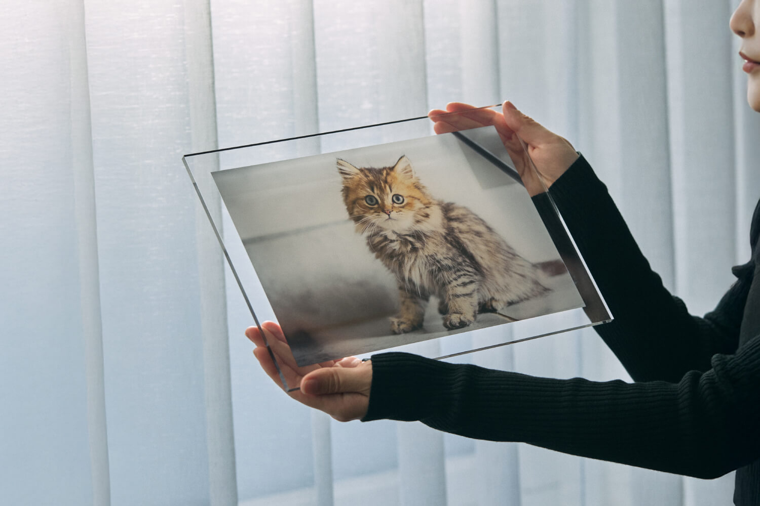 クリアフォトパネル A4サイズの画像