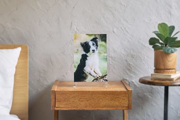 クリアフォトパネル A4サイズの画像