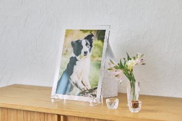 クリアフォトパネル A4サイズの画像