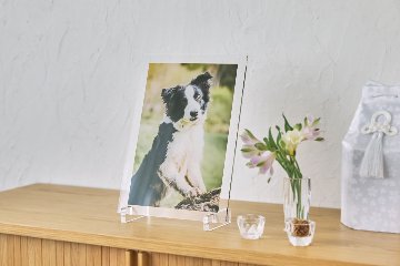 クリアフォトパネル A4サイズの画像