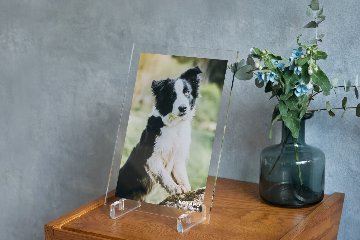 クリアフォトパネル A4サイズの画像