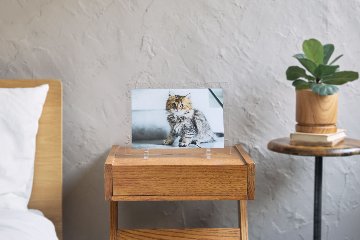 クリアフォトパネル A4サイズの画像