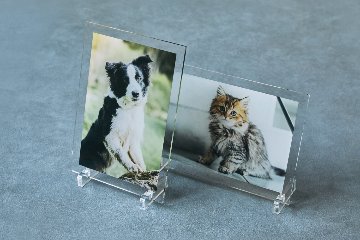 クリアフォトパネル A4サイズの画像