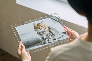 クリアフォトパネル A4サイズの画像