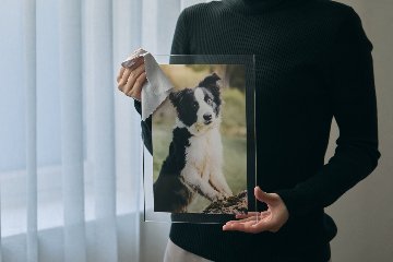 クリアフォトパネル A4サイズの画像