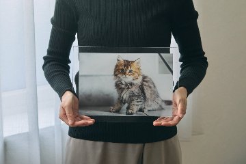 クリアフォトパネル A4サイズの画像