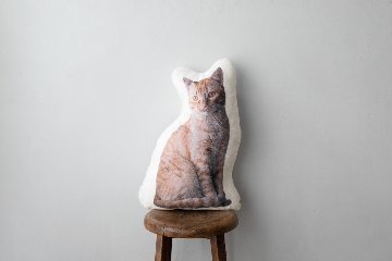 メモリアル毛並みクッション 50cmの画像