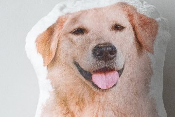メモリアル毛並みクッション 70cmの画像