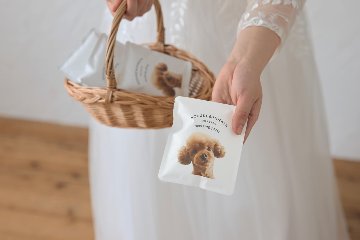 コーヒードリップバッグ　シンプルロハスデザインの画像