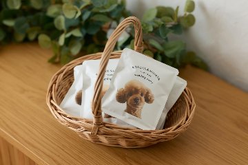 コーヒードリップバッグ　シンプルロハスデザインの画像