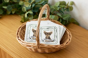 緑茶ティーバッグ　和モダンデザインの画像