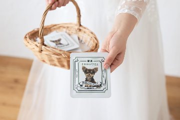 緑茶ティーバッグ　和モダンデザインの画像