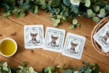 緑茶ティーバッグ　和モダンデザインの画像