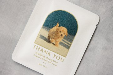 緑茶ティーバッグ　フレームデザインの画像